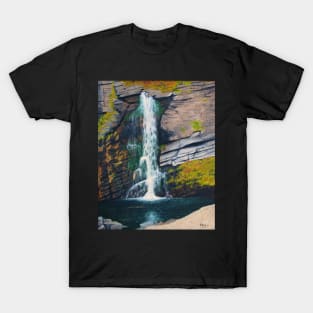 Skye Falls T-Shirt